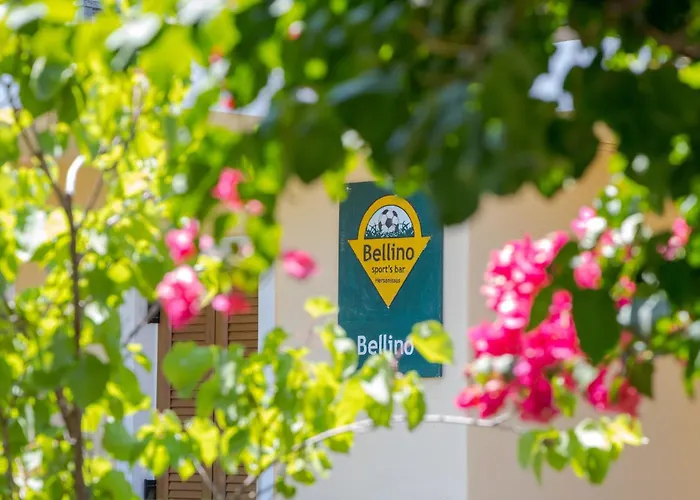 Bellino 